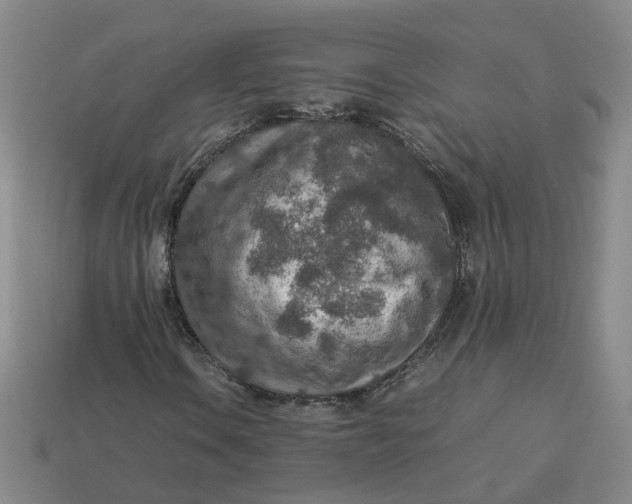 X0000113311106200910051057