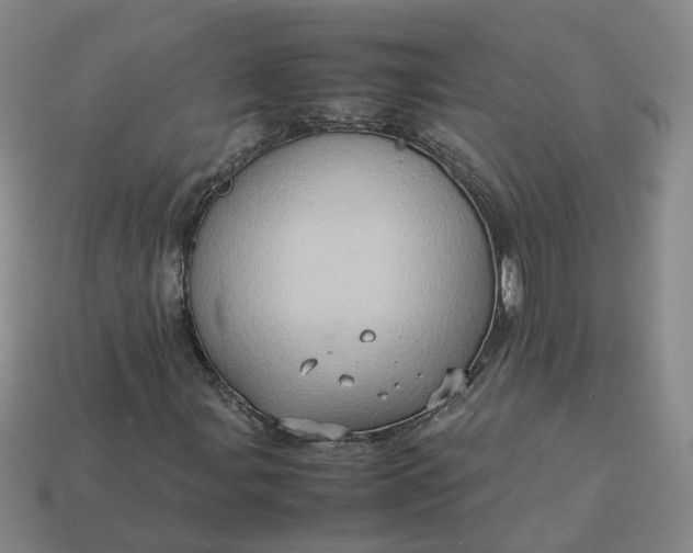 X0000113311107200910051057