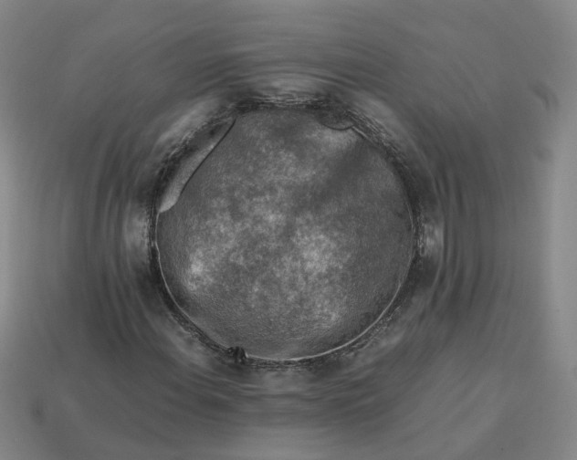 X0000113311108200910051057