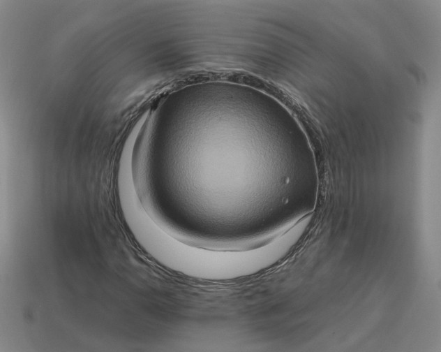 X0000113311110200910051057