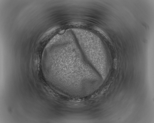 X0000113311111200910051057