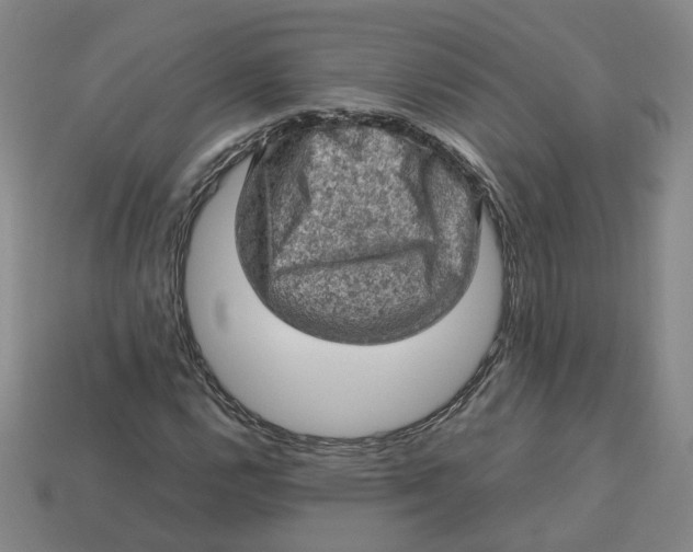 X0000113311112200910051057