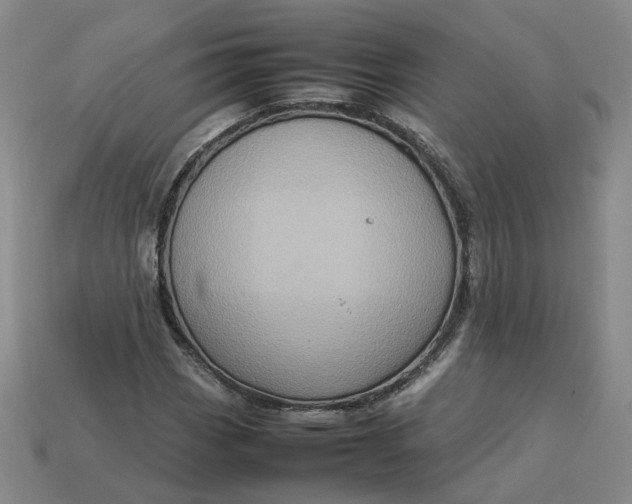 X0000113311113200910051057