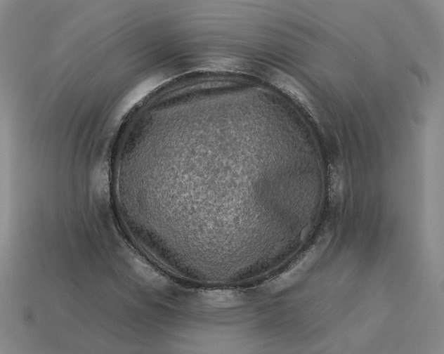 X0000113311114200910051057