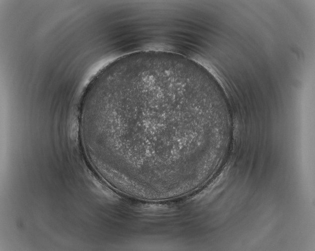 X0000113311115200910051057