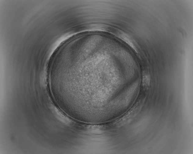 X0000113311116200910051057