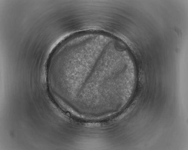 X0000113311118200910051057