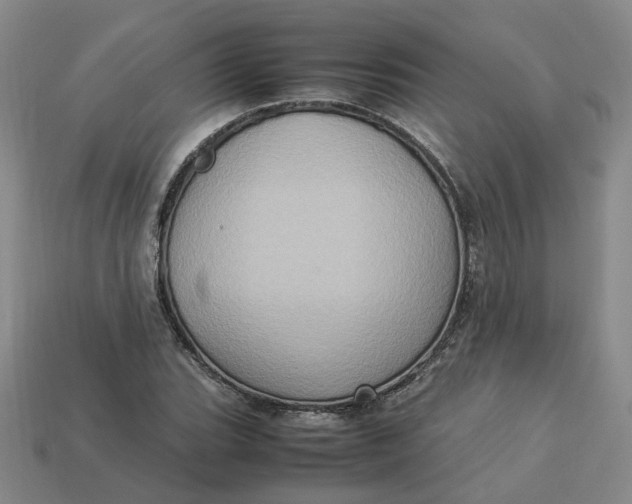 X0000113311119200910051057