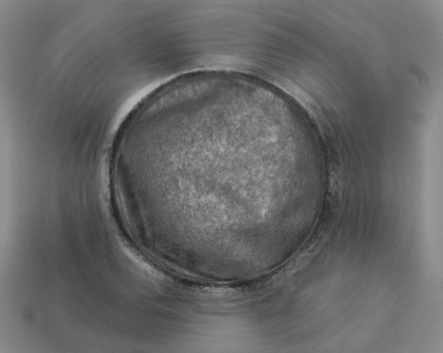 X0000113311120200910051058