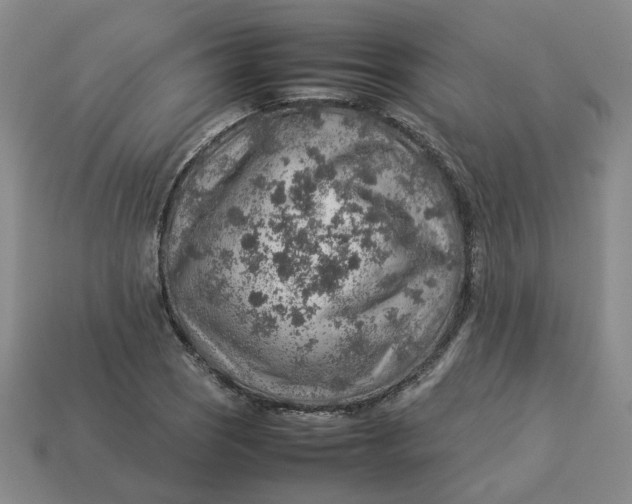 X0000113311121200910051058