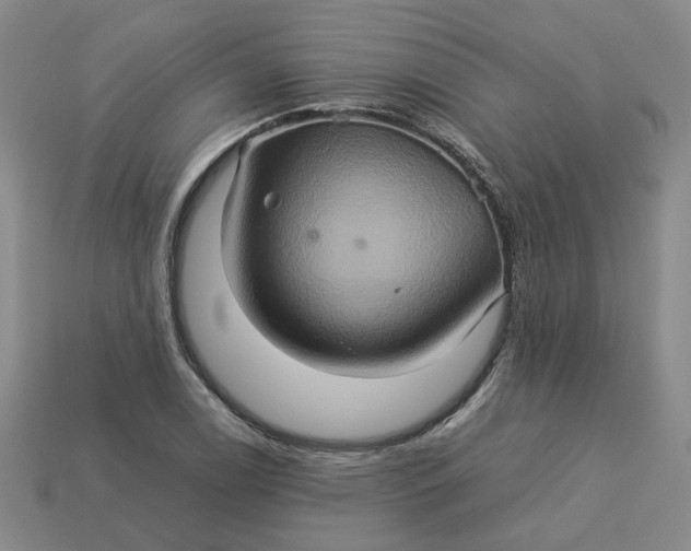 X0000113311122200910051058