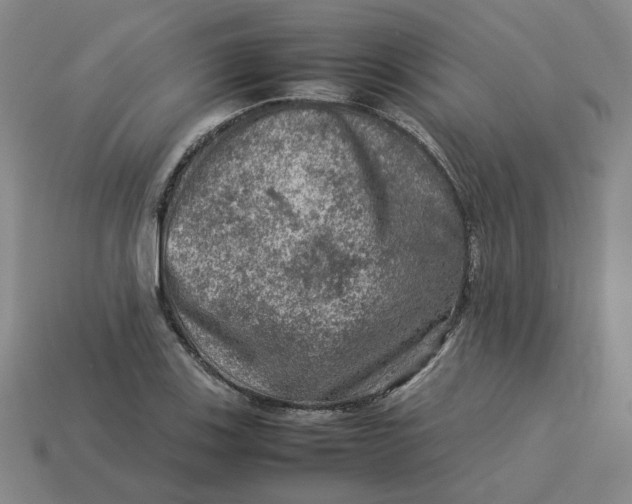 X0000113311123200910051058