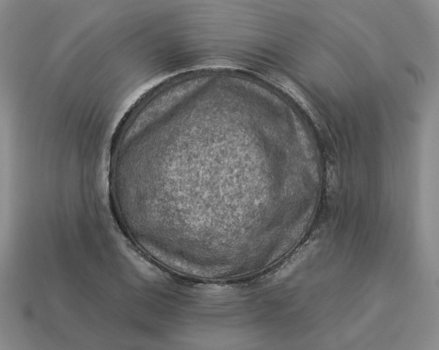 X0000113311124200910051058