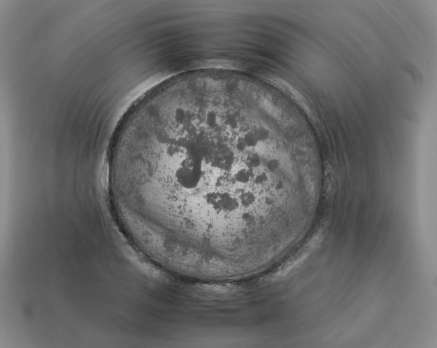 X0000113311125200910051058