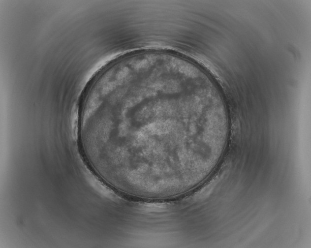 X0000113311126200910051058