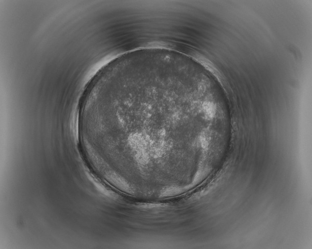 X0000113311127200910051058