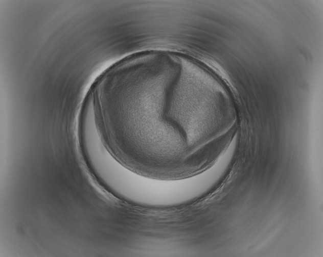 X0000113311128200910051058