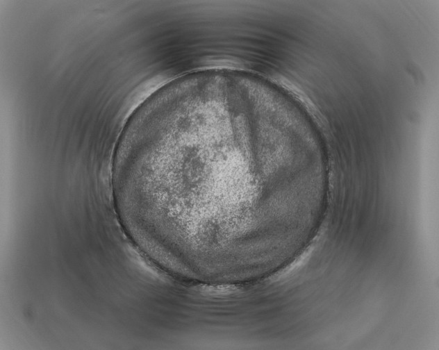 X0000113311129200910051058