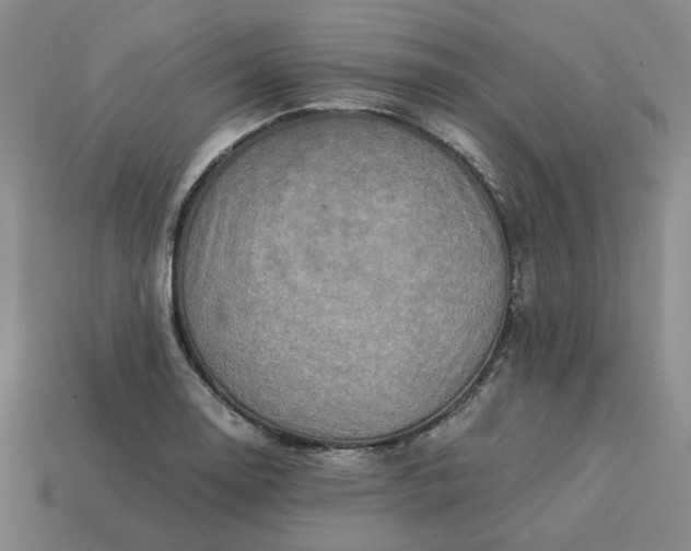 X0000113311130200910051058