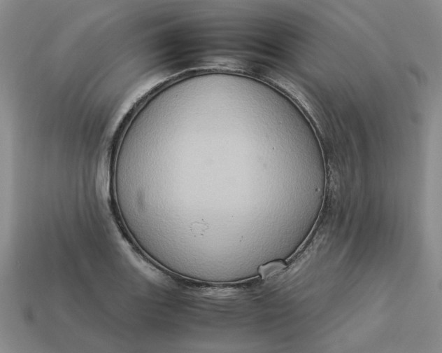 X0000113311131200910051058