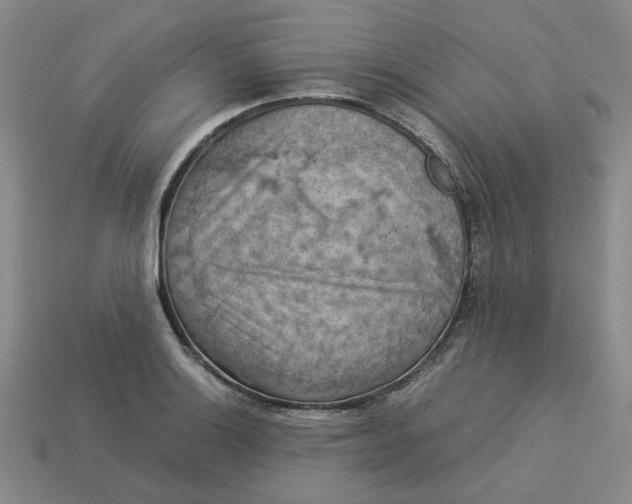 X0000113311132200910051058