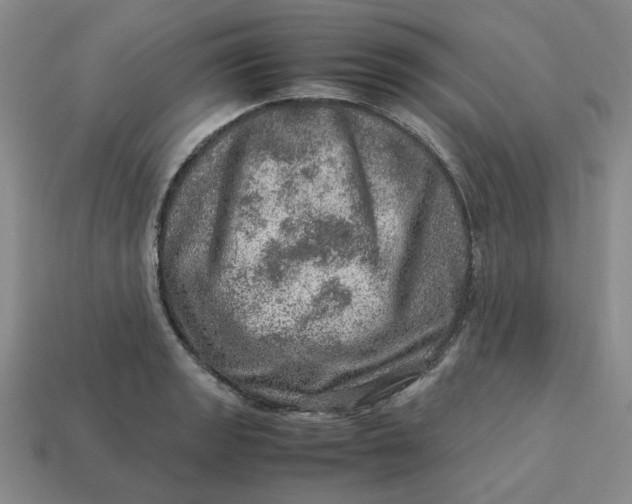 X0000113311133200910051058