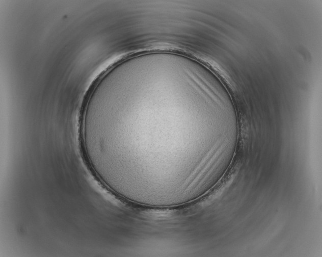 X0000113311134200910051058