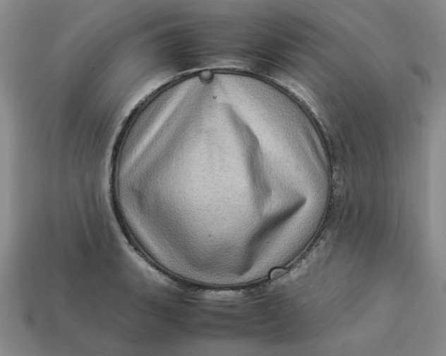 X0000113311135200910051058