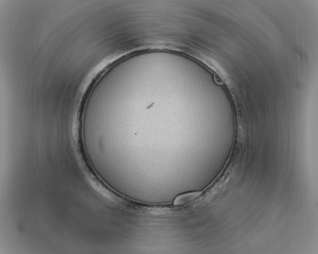 X0000113311136200910051058