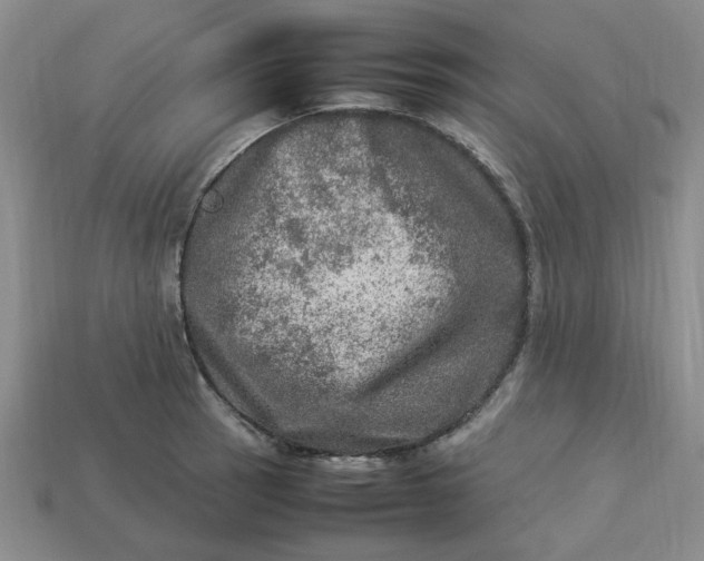 X0000113311137200910051058