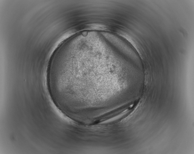 X0000113311139200910051058