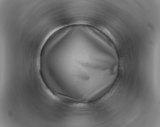 X0000113311140200910051058