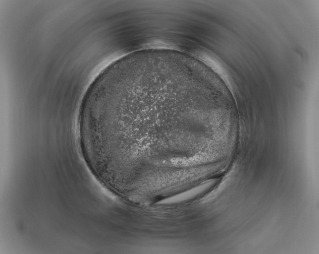 X0000113311141200910051058