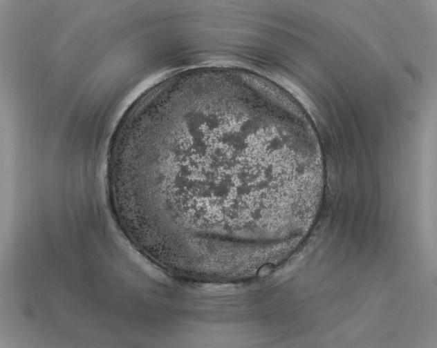 X0000113311142200910051058