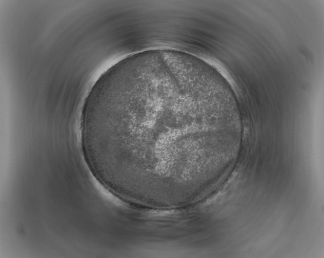 X0000113311143200910051058