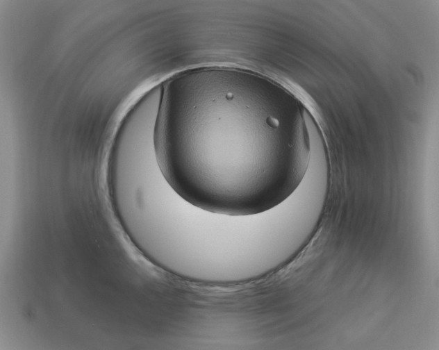 X0000113311144200910051058