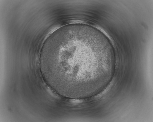 X0000113311145200910051058