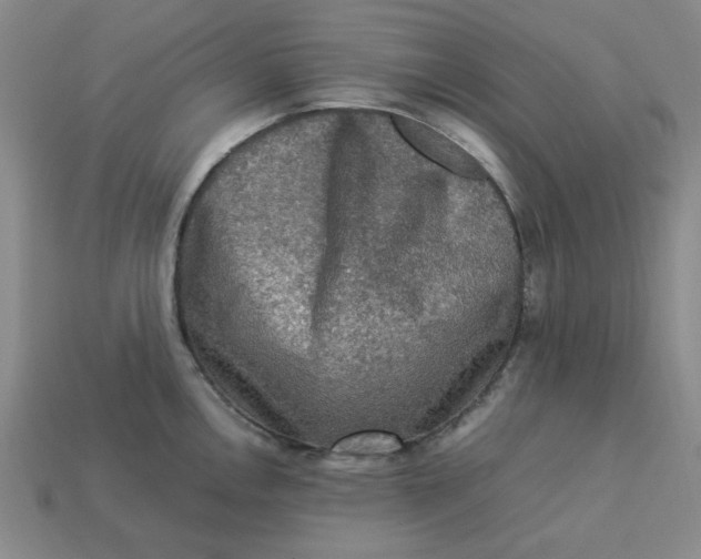 X0000113311146200910051058