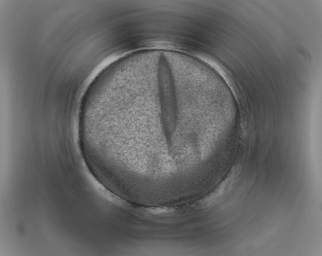 X0000113311147200910051058