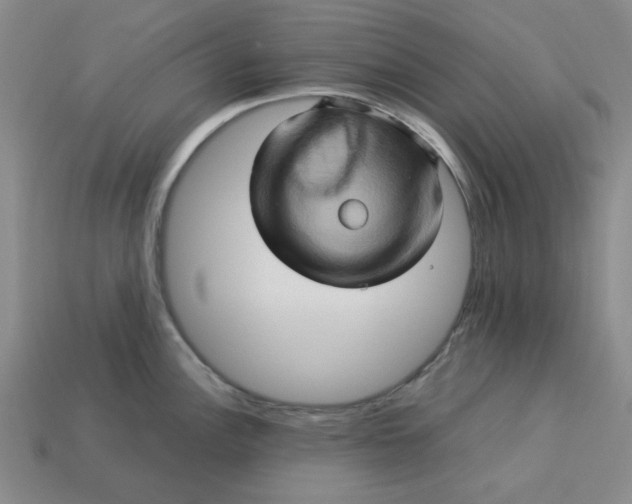 X0000113311148200910051058