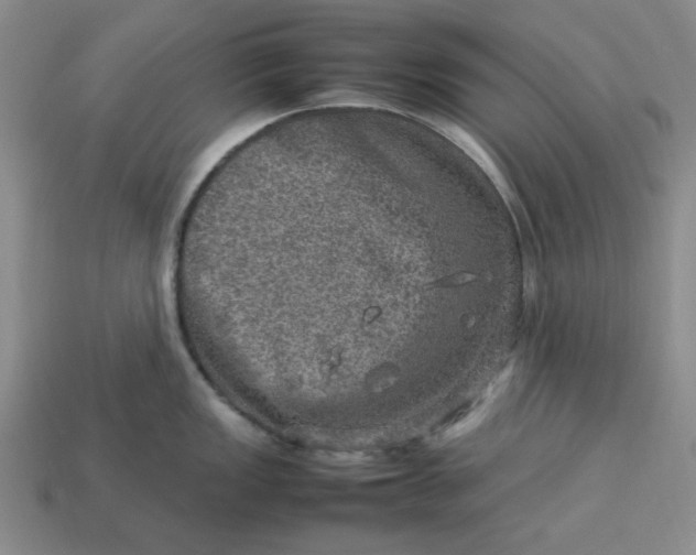 X0000113311149200910051058