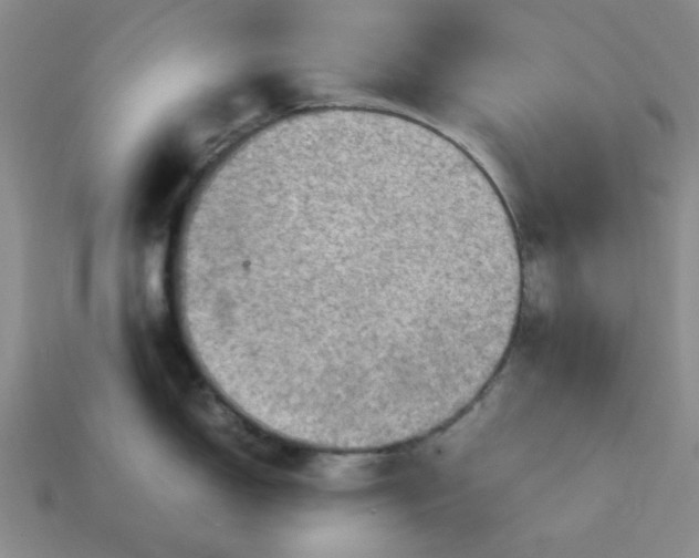 X0000113311150200910051058