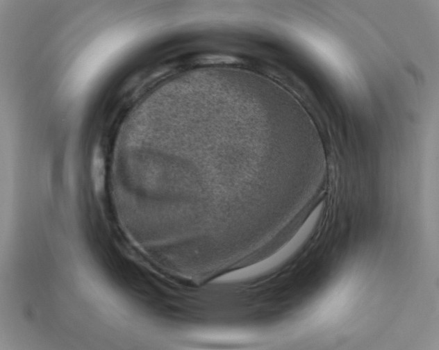 X0000113311151200910051058