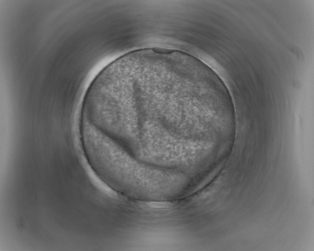 X0000113311152200910051058