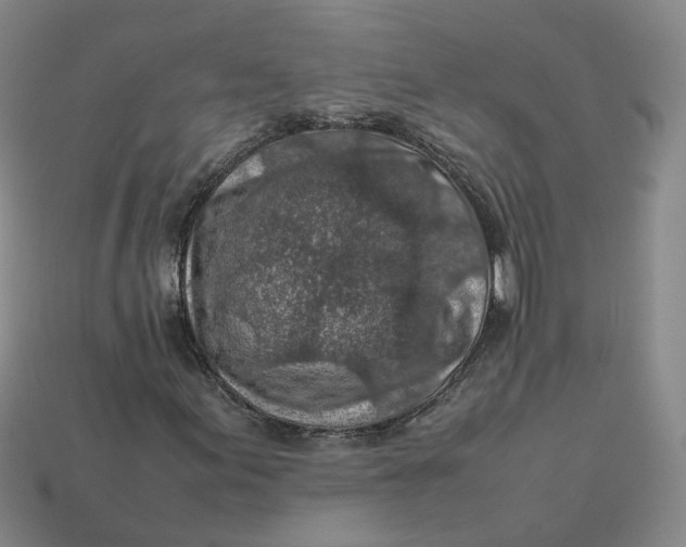 X0000113311155200910051057