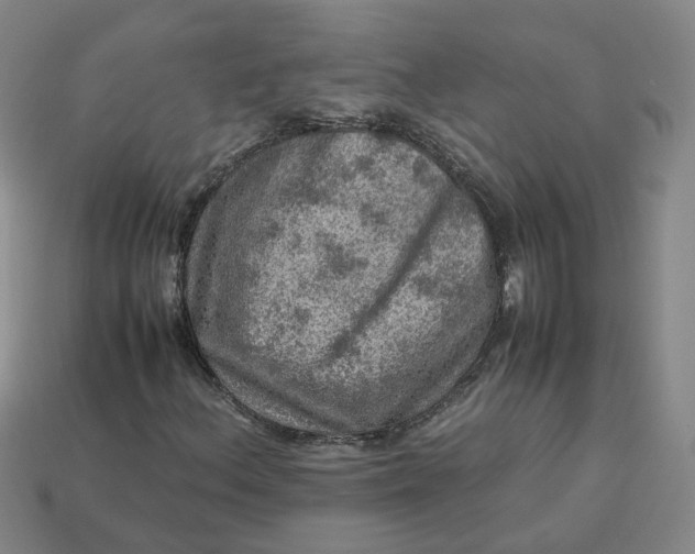 X0000113311156200910051057