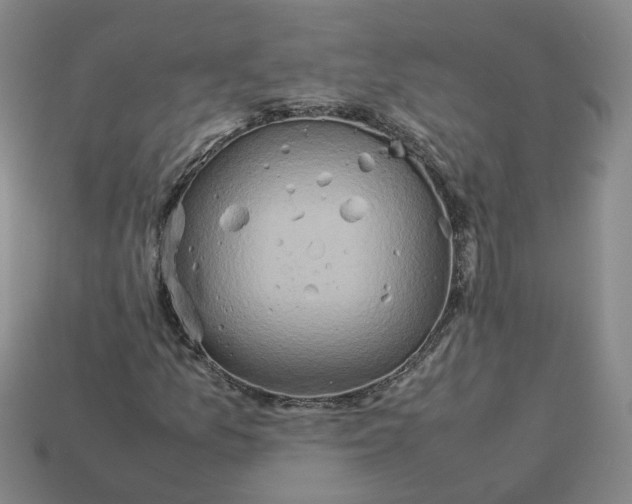 X0000113311157200910051057