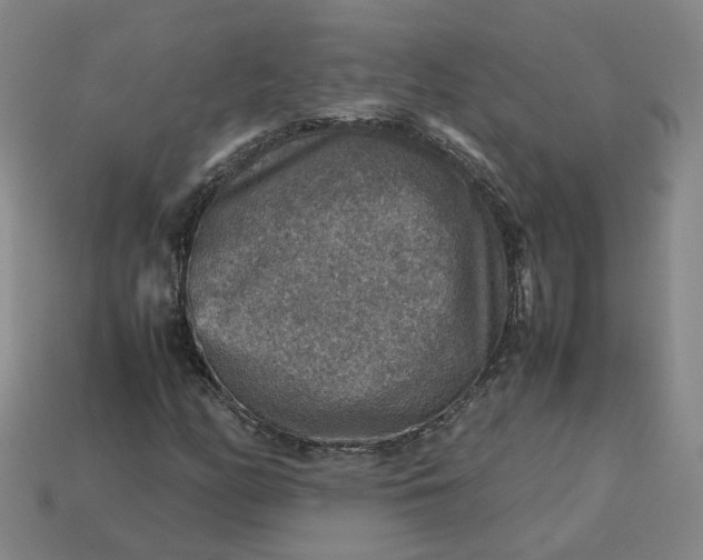 X0000113311158200910051057