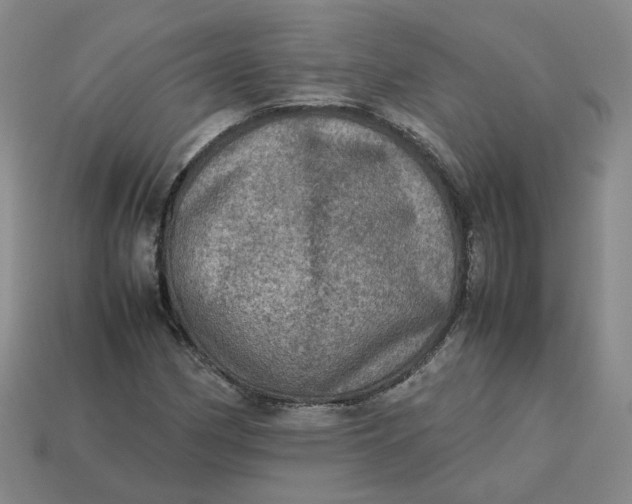 X0000113311162200910051057