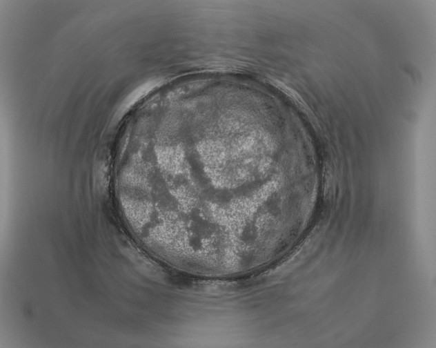 X0000113311163200910051057